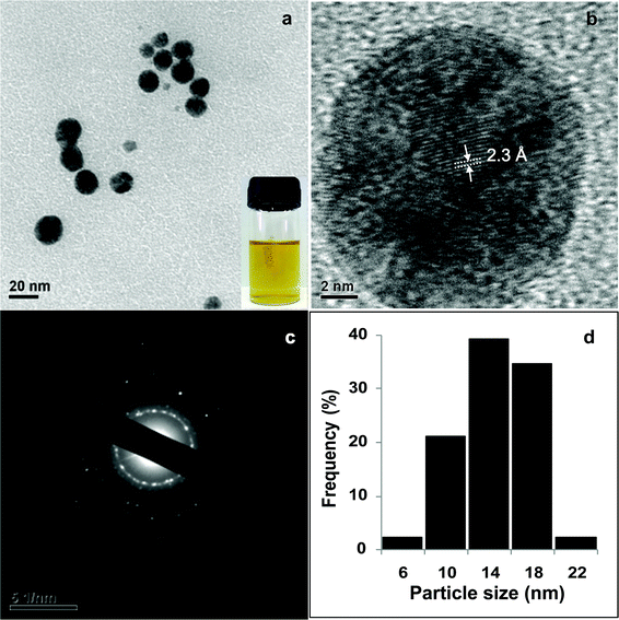 a) TEM image of Ag NPs synthesized using 0.2% alginate at 90 °C, inset shows the photo of Ag NPs (b) HRTEM image of a single Ag NP, (c) corresponding SAED pattern and (d) particle size distribution of Ag NPs.