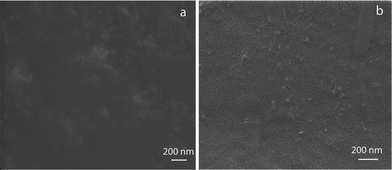 FESEM images of (a) chitosan film and (b) 1 : 1 blended film showing Ag NPs.