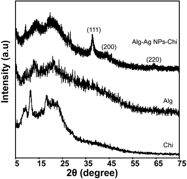 XRD of 1 : 1 blended (containing Ag NPs), alginate and chitosan films.