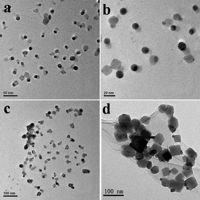 TEM images of the GO–Ag hybrids obtained by the strategy (I) at different reaction time: (a,b) 12 h and (c,d) 24 h, respectively. (a,c) Low magnification TEM images, (b,d) High magnification TEM images.