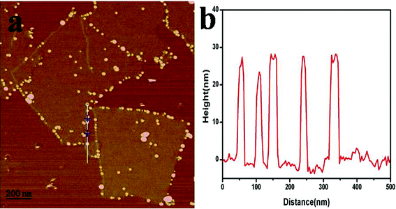 (a) AFM image of GO–Ag hybrids on the mica surface, (b) the height profile of the AFM image.