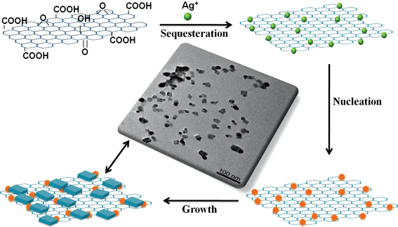 Schematic of the growth process of Ag nanomaterials in situ on graphene oxides.