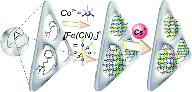 Schematic representation of the intrapore growth of cyano-bridged coordination polymer nanoparticles Co2+/[Fe(CN)6]3− by using mesostructured silica or porous glass as matrix.