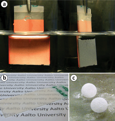 
          (a) A glass slide of fluorinated NFC microparticles, prepared using Approach A, immersed in water. When viewed beyond the critical angle, a total internal reflection can be observed, implying the presence of the plastron, and thus, superhydrophobicity. Orange paper was attached at the backside of the sample in order to facilitate observation of the reflection. (b) A photograph demonstrating the semi-transparency of a superhydrophobic sample prepared using Approach A. (c) Liquid marbles, i.e., water drops coated with the hydrophobic microparticles, on a hydrophilic glass.