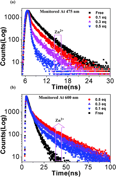 Changes in time-resolved decay profiles of the receptor (20 μM) at the two wavelengths [(a) at 475 nm (emission quenching) and (b) at 600 nm (emission enhancement)] as function of the incremental addition of Zn2+ ion (20 μM).