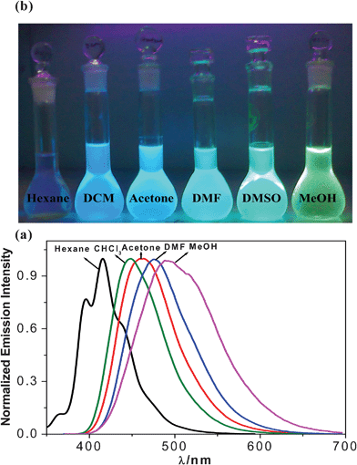 (a) Normalized emission spectra and (b) different emission colors seen up on excitation with UV light of the receptor in different solvents.