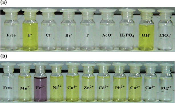 Color changes that occurs when the dimethylformamide–acetonitrile (1 : 9) solutions of the receptor are treated with (a) various anions as their tetrabutylammonium (TBA) salts and (b) various metal cations as their perchlorate salts.