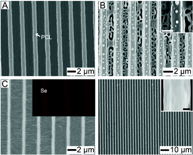 SEM images represent the serial process for the formation of a-Se lines. (A) SEM image obtained after deposition of H2SeO3 by spraying its ethanol solution on the PCL pattern. (B) The generation of a-Se particles on the whole PCL surface after chemical reduction. The scale-bar of the inset is 1.5 μm. (C) The formation of the a-Se line pattern after thermal annealing (90 °C). (D) Periodic a-Se lines were obtained by dissolving out PCL. The scale-bar of the inset is 150 nm.