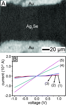 (A) SEM image of a Ag2Se line pattern directly created between two Au electrodes. (B) I–V characteristics as a function of transformation time from a-Se into Ag2Se: (1) 30 min, (2) 2 h, (3) 8 h, (4) 15 h and (5) 26 h.