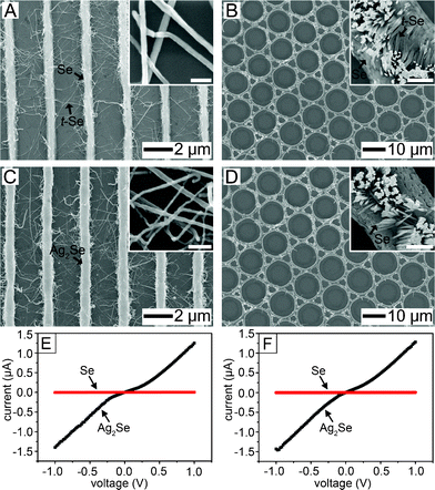 (A, B) SEM images of t-Se nanowire networks between the a-Se lines and the rings, respectively. The blow-up images of (A) and (B) visualize the contact between the t-Se nanowires. The scale-bar of the inset in (A) is 100 nm and in (B) is 500 nm. (C, D) SEM images obtained after chemical transformation of (A) and (B) into Ag2Se, respectively. The blow-up images of (C) and (D) represent the Ag2Se nanowire network. The scale-bar of the inset in (C) is 200 nm and in (D) is 1 μm. (E, F) I–V characteristics of the t-Se and Ag2Se networks. For (E), the measurement was carried out in the perpendicular direction to the regular Ag2Se lines.