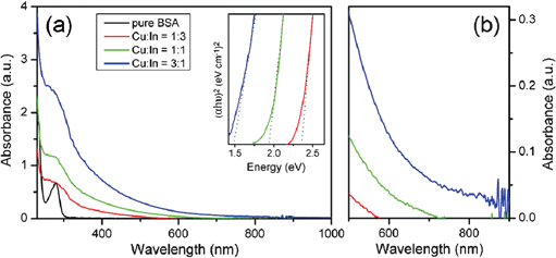 (a) UV-Vis-NIR absorption spectra of the CuxInyS0.5x+1.5y NCs synthesized with varying molar ratios (1 : 3, 1 : 1 and 3 : 1) of Cu/In precursors. Inset shows the plots of (αhν)2versus photon energy (hν) of corresponding samples. (b) Expanded view of the region between 500 nm and 900 nm in (a) which shows the different absorption onsets of the samples.