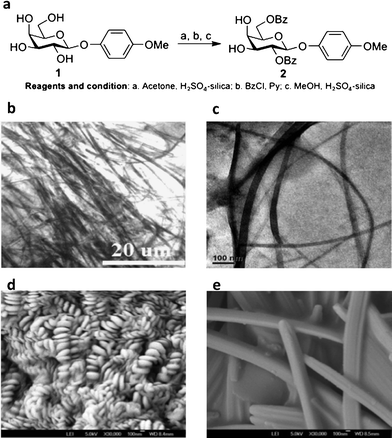 a) Chemical synthesis of the target galactoside amphiphile 2. b) DIC image of the diesel gel of 2 (1.2% w/v). c) TEM image of the toluene gel (0.8% w/v) of 2. d) SEM image of the mesitylene gel (2% w/v) and e) SEM image of the p-xylene gel (1.5% w/v).