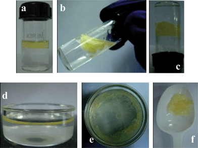 
          Phase-selective gelation from a two phase system at room temperature: (a) mixture of 2 mL water and 0.5 mL diesel (b) selective gelation of the diesel layer (diesel gel floating on water) after addition of the solution of galactoside 2 (c) gel holding the water shown in inverted vial after 45 min (d) thin layer of diesel floating on large pool of water (in a Petri dish) (e) instantaneous selective gelation of diesel layer after addition of the solution of the galactoside 2 (f) diesel gel scooped out with a spatula.