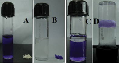 (a) 0.03 mM aqueous solution of CV before the addition of xerogel, (b) clear aqueous solution after the adsorption of dye by the xerogel of galactoside 2 after ∼24 h. (c) 0.5 mL toluene was added to 2 mL of aqueous solution of CV (d) removal of CV via phase-selective gelation method.