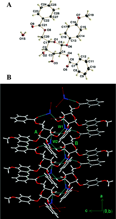 (a) ORTEP drawing of monohydrated compound 2 with 50% probability ellipsoids, showing the atomic numbering scheme. (b) A packing view along b direction.