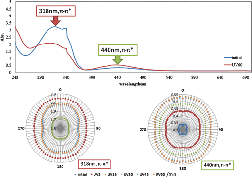 Polarized absorption electronic spectra and angular dependence of a polarizer in absorbance at 318 and 440 nm for AZ after UV light irradiation for 0–60 min.