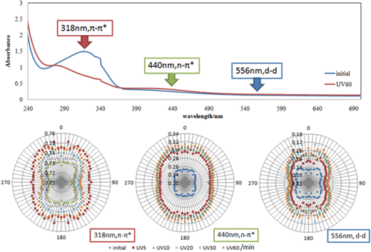 Polarized absorption electronic spectra and angular dependence of a polarizer in absorbance at 318, 440 and 556 nm for AZ+PMMA+diph(SS)Cu after UV light irradiation for 0–60 min.