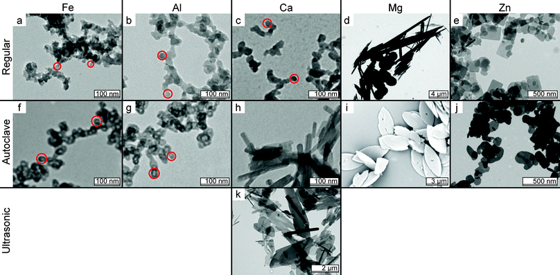 
            TEM image matrix summarizing the influence of preparation method and metal ion on colloidal MPPis. Rows indicate the preparation method, columns the metal ion used. The red circles indicate what we refer to as primary particles in the amorphous aggregates (i is an SEM image).