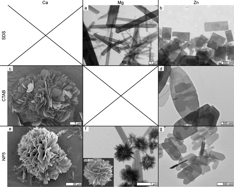 
            TEM image matrix summarizing the influence of surfactants on MiiPPis. Rows indicate the surfactant, columns the metal ion used (images c, e and the inset of f are SEM images).