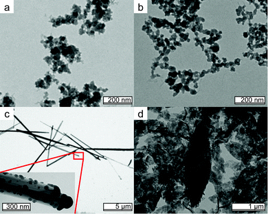 Morphology of mixed metal pyrophosphates resembles that of MiiiPPi found in Fig. 1, as shown here for Fe : Al 10 : 1 (a) and Fe : Ca 1 : 10 (b). The only mixed materials that show different morphology are Fe : Mg 1 : 10 (c) and Fe : Zn 1 : 5 (d). Ratios with higher Miicontent show similar morphology (not shown).