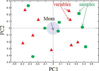 A PCA biplot showing the relationship between loadings and variables. Correlated variables and samples will be located in the same quadrant on a biplot.