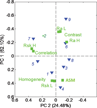 The PCA biplot for SEM statistics (Table 2).