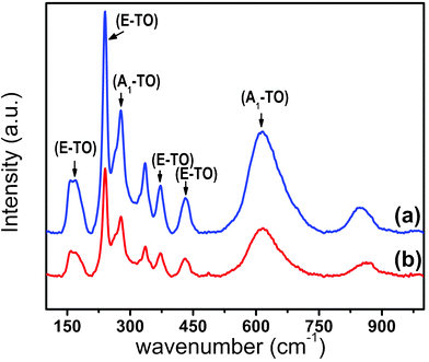 
          Raman spectra of LiNbO3 nanoparticles. (a) Nanospheres and (b) nanocubes. Transverse optical (TO) bands assignments, E TO and A1 TO, are shown.