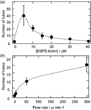 Tubulation efficiency was evaluated by counting the number of lipid nanotubes passing through a defined area (1.7 × 1.0 mm) on the flow channel. (a) The number of nanotubes was plotted against the concentration of DSPE-biotin used to tether the liposomes to the chamber with a flow rate of 300 μL min−1. (b) Flow rate dependence of nanotube formation using immobilized liposomes tethered with 10 μM DSPE-biotin.