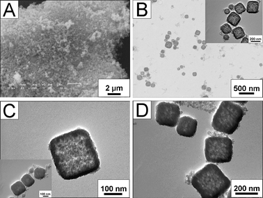 SEM (A) and TEM (B, C, D) images of as-synthesized hollow SiO2 nanocubes (A, B, C) and calcined hollow SiO2 nanocubes (D). The insert TEM image in B is the magnified image of as-synthesized hollow SiO2 nanocubes and the insert TEM image in C shows the as-synthesized hollow SiO2 nanocubes prepared after a reaction time of 24 h.