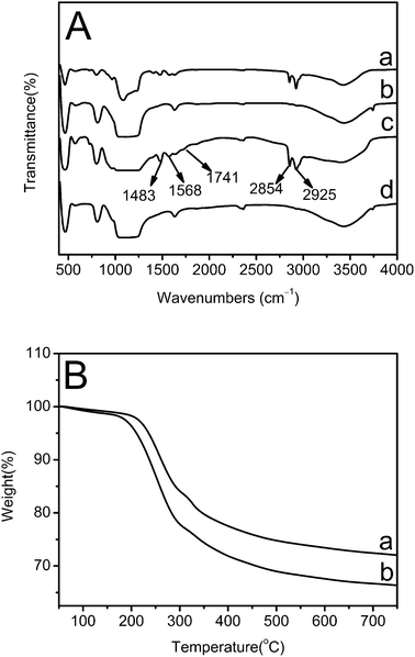 (A) FTIR spectra of (a) as-prepared solid SiO2 nanocubes, (b) calcined solid SiO2 nanocubes, (c) as-prepared hollow SiO2 nanocubes and (d) calcined hollow SiO2 nanocubes; (B) TGA curves of (a) as-prepared hollow SiO2 nanocubes and (b) as-prepared solid SiO2 nanocubes.