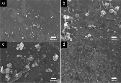 Secondary electron images of catalyst produced by (a) 2 wt.% (b) 5 wt.% and (c) 9.6 wt.% ferrocene injection for 1 h. Catalyst size increases with ferrocene concentration, the active particles are most likely the larger ones which often feature a dark ring where the nanotube was and a bright spot in the centre. (d) The substrate after 1 h of injection at 5 wt.% ferrocene followed by toluene injection till growth end. The catalyst appears covered with carbon.