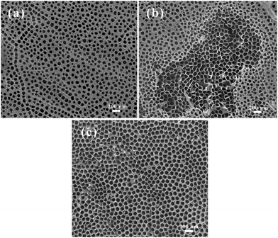 Surface SEM images of the prepared titania nanotube after different time of ultrasonication. (a) Fresh prepared without ultrasonication, (b) ultrasonication for 30 s, (c) ultrasonication for 70 s.