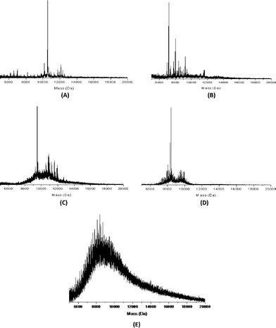 
          MALDI spectra of (A) Au38(SC12H25)24, (B) Au38(SC16H33)24, (C) Au38(SC8H17)24, (D) Au38(SC4H9)24, and (E) Au38(SC6H13)24.