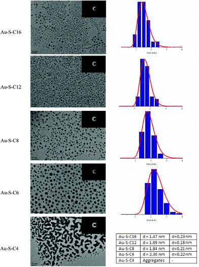 
          HR-TEM images of Au38(SR)24 clusters. The insets show the EDX diffraction patterns. Particle size distributions fitted with a log normal distribution are shown on the right side of the HR-TEM images.