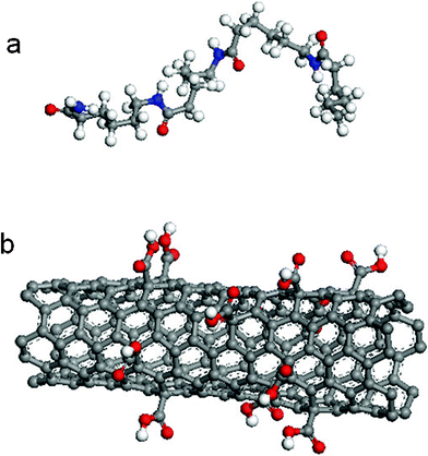 (a) Molecular model of nylon 6 and (b) carboxyl group functionalized CNT.