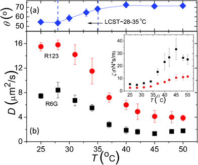 (a) Static water contact angle on PNIPAM brush surface of σ = 0.62 chain nm−2 and h = 2.5 nm, indicating the transition from a hydrophilic PNIPAM surface to a hydrophobic one as T increases across LCST ≈ 28–35 °C. (b) Measured surface diffusion coefficients, D of R6G (■) on PNIPAM surface of h = 2.5 nm and σ = 0.62 chain nm−2 and R123 (●) on PNIPAM surface of h = 1.8 nm and σ = 0.33 chain nm−2vs. solution temperature, T. Inset: Apparent friction coefficient, ζ that is inversely proportional to D is plotted vs. T.