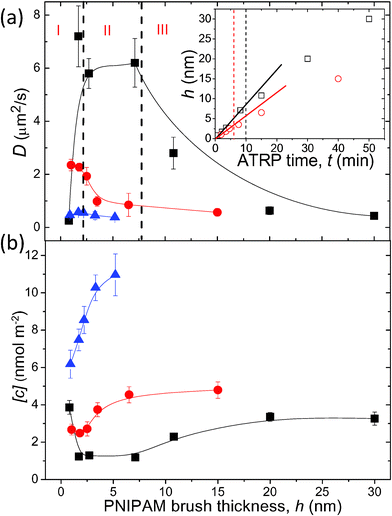 (a) Measured D of R6G on PNIPAM surfaces vs. h at varied σ = 0.62 (■), 0.33 (●) and 0.13 (▲) chain nm−2 at T = 25 °C. Dashed lines are used to indicate three distinct regions in observed surface dynamical behaviors at σ = 0.62 chain nm−2. Inset: Growth of PNIPAM brush thickness vs. ATRP time at σ = 0.62 (□) and 0.33 (○) chain nm−2. Dashed lines are used to indicate the critical ATRP time, above which the growth of bush thickness deviates from linear relationship with reaction time. (b) Measured [c] of adsorbed R6G vs. h at 25 °C, the symbols indicate the same as in (a).