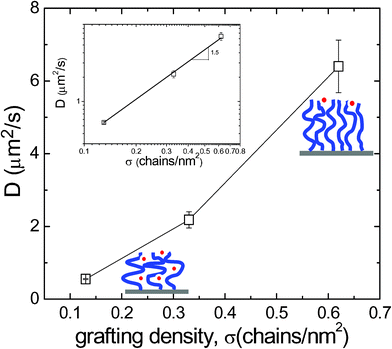 Measured D of R6G on PNIPAM surfaces at T = 25 °C averaged over measurements at varied h in region II as illustrated in Fig. 4a. Inset: the logarithmic plot of D against σ. The fitting slope is about 1.5.