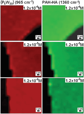 2-D chemical mappings of the POM (965 cm−1; red) and the PAH-HA matrix (1360 cm−1; green) performed by confocal Raman microspectroscopy over (PAH-HA)90 films put in contact for 7 days with {P5W30} solutions at various concentrations, then dried in air. Films were scratched by means of a needle (dark areas) prior to imaging in order to distinguish them from the substrate.