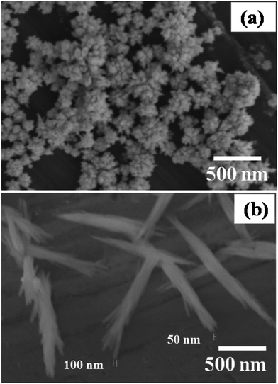 Scanning electron micrographs of as synthesized Rh (a) nanoflowers and (b) nanorod bundles, in the absence and presence of 1 : 5 Rh3+ : PVP ratio in mM concentration after 5 min respectively.