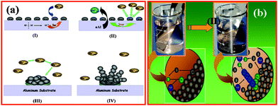 (a) Mechanism proposed to account for the formation of 1D Rh structure on Al substrate as a function of time by using shape inducing agent (PVP). (I) Initial number of active sites on the surface monodisperse nanoparticles, as the reaction proceeds (II–IV) further approach of the ions during growth on the Al surface, (b) Schematic for the formation of 1D Rh structures on Al substrate in the presence of PVP. Initial approach of ions towards lattice Al atoms and growth of Rh-PVP nanostructures on Al surface.