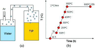 (a) Experimental design of vapour hydrolysis. (b) Evolution of the microstructure and the morphology of samples in the annealing process. Red dots indicate that samples were taken out from a furnace at 100, 200, 300, 400, 500, 600, and 600 °C (15 h).