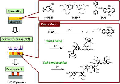 Photolithographic mechanism for patterning of rr-P3HT.