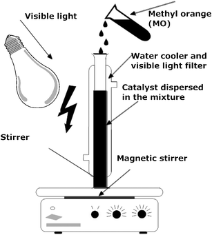 Schematic representation of the experimental set up.