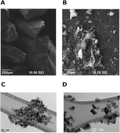 Selected SEM (a) Ag, garlic loaded-TiO2 calcined at 450 °C and (b) Ag, garlic loaded-TiO2 calcined at 700 °C and TEM (c) Ag, garlic loaded-TiO2 calcined at 450 °C, (d) Ag, garlic loaded-TiO2 calcined at 700 °C images of as-prepared catalysts.