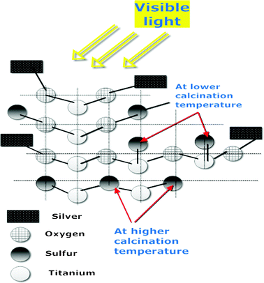 Hypothesized photocatalytic mechanism of as-prepared nano-photocatalysts.