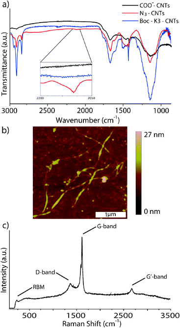 (a) IR spectra comparing COO−-CNTs, N3-CNTs and Boc-K3-CNTs; (b) AFM image of Boc-K3-CNTs; (c) Raman spectra of Boc-K3-CNTs.