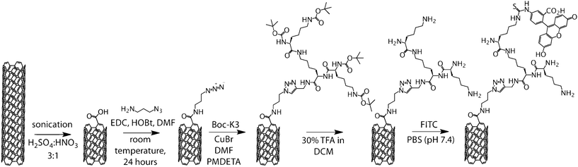 Synthesis of FITC labelled, K3 functionalised CNTs.