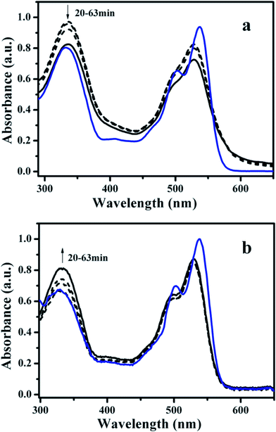 UV-visible absorption spectra of the monomeric AZO-PDI in CHCl3 (10−5 mol L−1) and the time-dependent self-assembled nanostructures formed in CHCl3/CH3OH binary solvents (10−5 mol L−1) at 26 °C. (a) Monomeric E-AZO-PDI (blue line), the self-assemblies formed along with the equilibrium time (black dashed line from top to bottom: 20, 30, 45 min) and the colloidal dispersion at the equilibrium state (black solid line: 63 min); b) monomeric Z-AZO-PDI (blue line), the self-assemblies formed along with the equilibrium time (black dashed line from bottom to top: 20, 30, 45 min) and the colloidal dispersion at the equilibrium state (black solid line: 63 min).