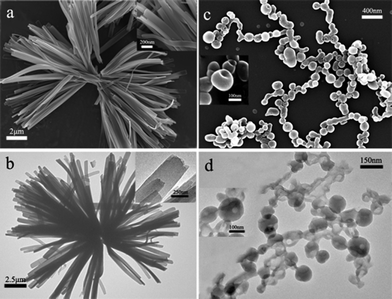 SEM and TEM images of self-assembled nanostructures of AZO-PDI. Nanoribbons formed from E-AZO-PDI in CHCl3/CH3OH observed by (a) SEM and (b) TEM; nano-scale hollow spheres with holes formed from Z-AZO-PDI (obtained by exposure of E-AZO-PDI to 365 nm photoirradiation for more than 30 min) observed by (c) SEM and (d) TEM.